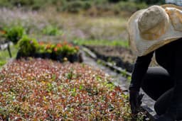 Environmental organizations