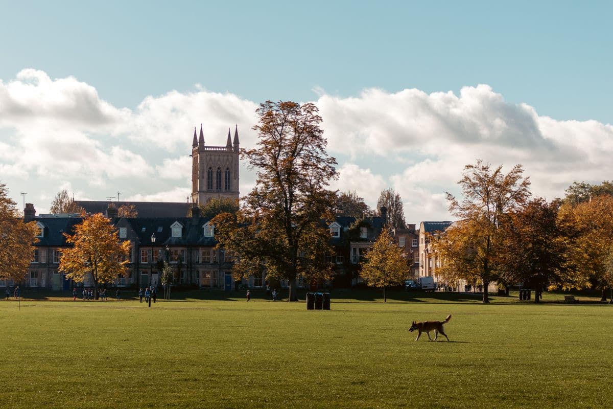 A broad green lawn in front of historic campus buildings