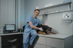 Veterinary clinics