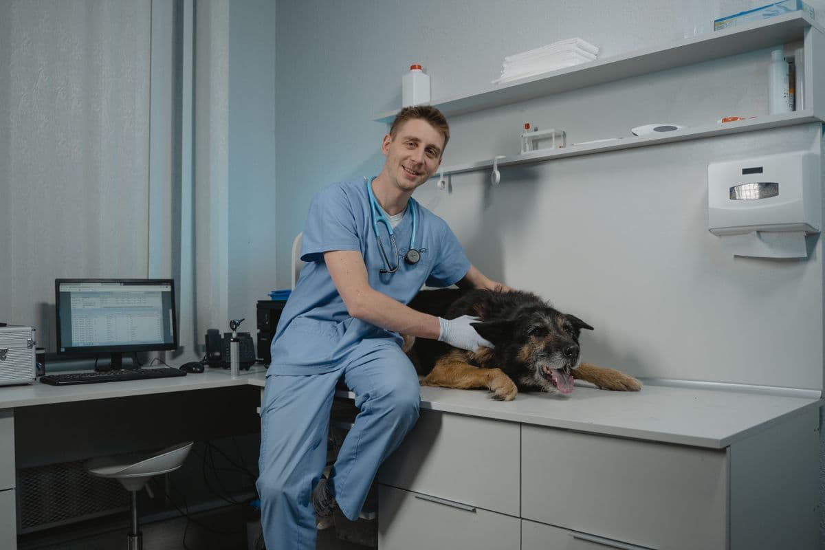 A veterinary reception team helping a pet owner